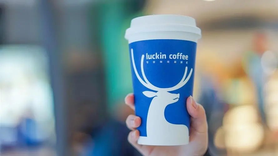 开一家瑞幸咖啡多久回本